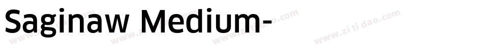 Saginaw Medium字体转换